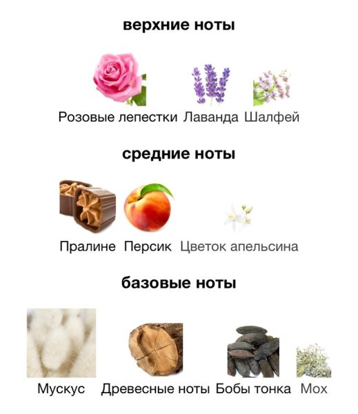 Интересные новинки парфюмерии от знаменитостей