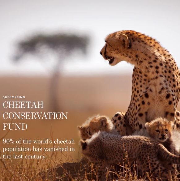 Chantecaille Cheetah Collection – Fall 2024