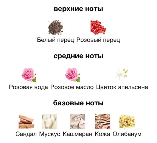 Rose Exposed коллекция весны 2025 от Tom Ford